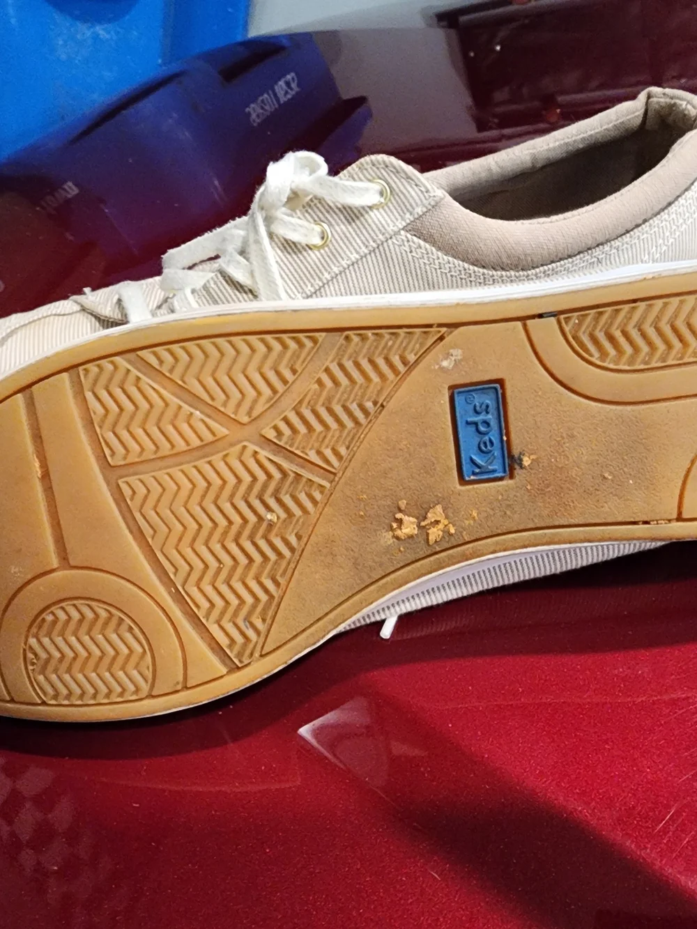 Keds Bundle 10